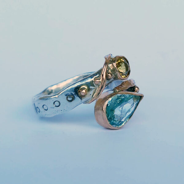 24-30-sandra-dini-anello