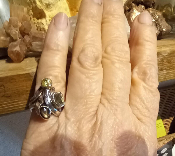 24-44-sandra-dini-ring
