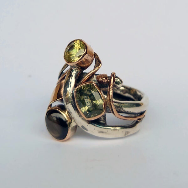 24-44-sandra-dini-ring