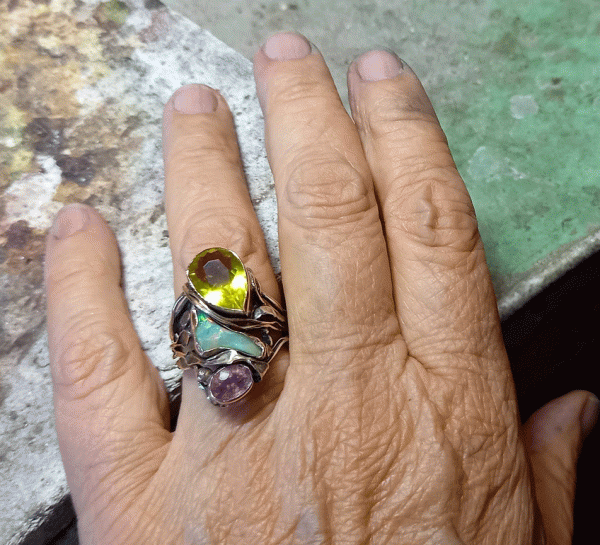 24-86-sandra-dini-ring