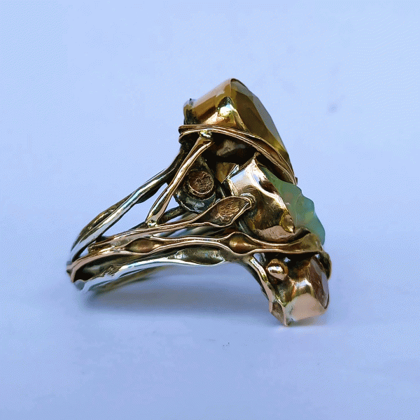 24-86-sandra-dini-ring