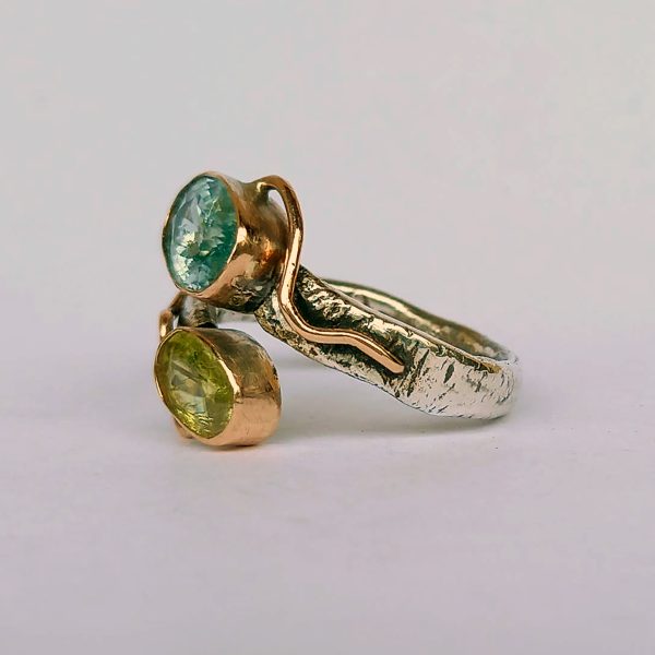 24-01-sandra-dini-anello
