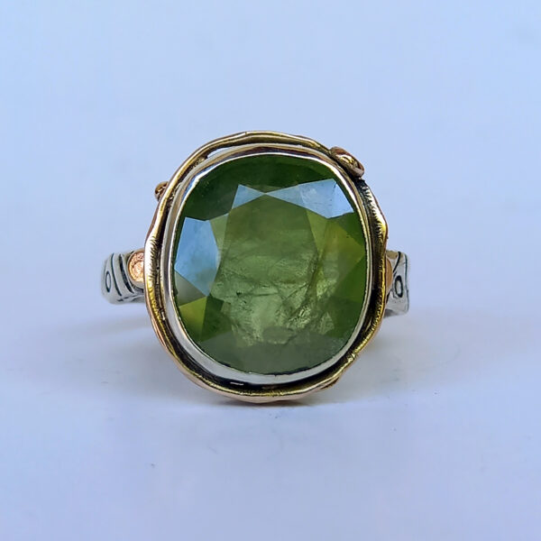 25-54-sandra-dini-anello