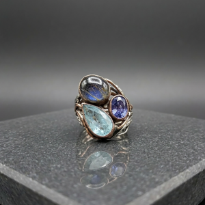 26-36-sandra-dini-anello